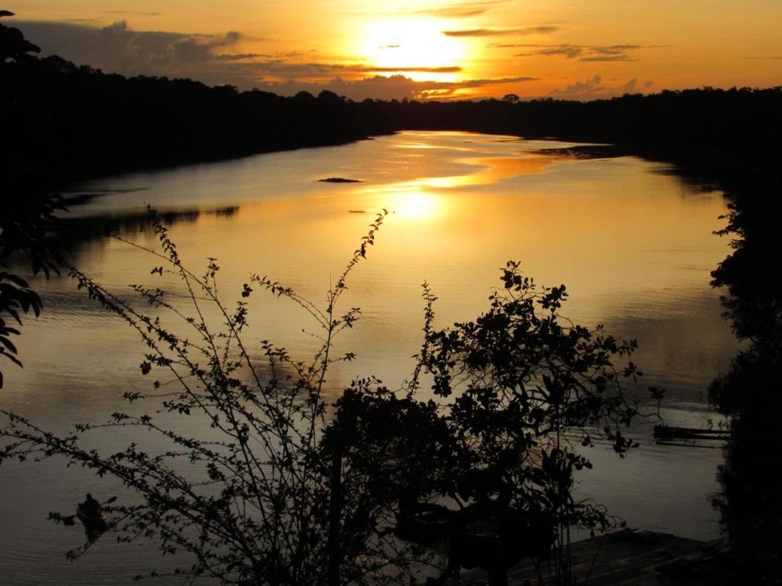 Dolphin Lodge en Amazonas