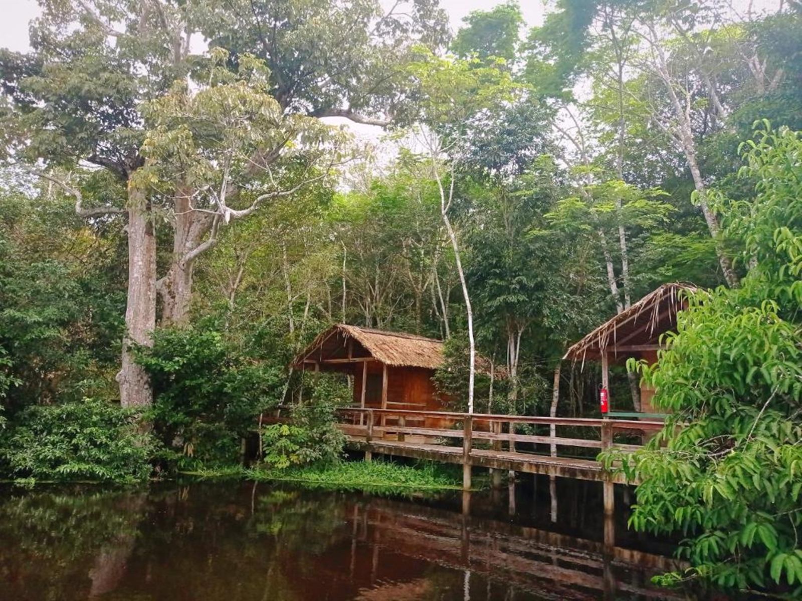 Dolphin Lodge en Amazonas