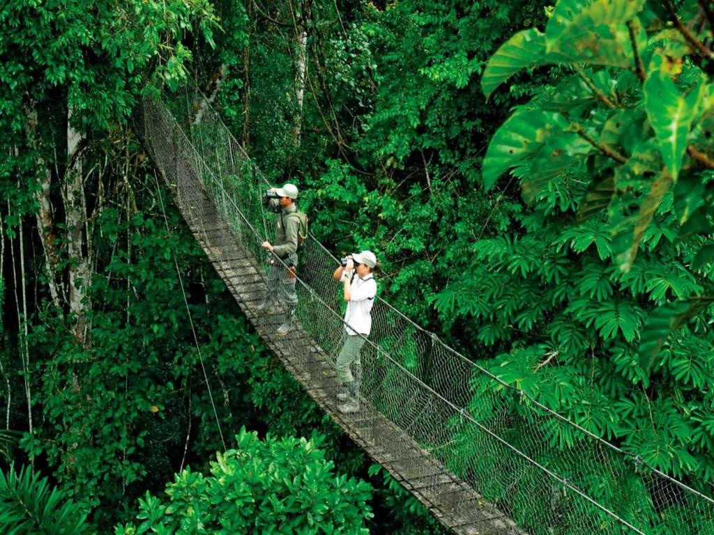 Amazonas