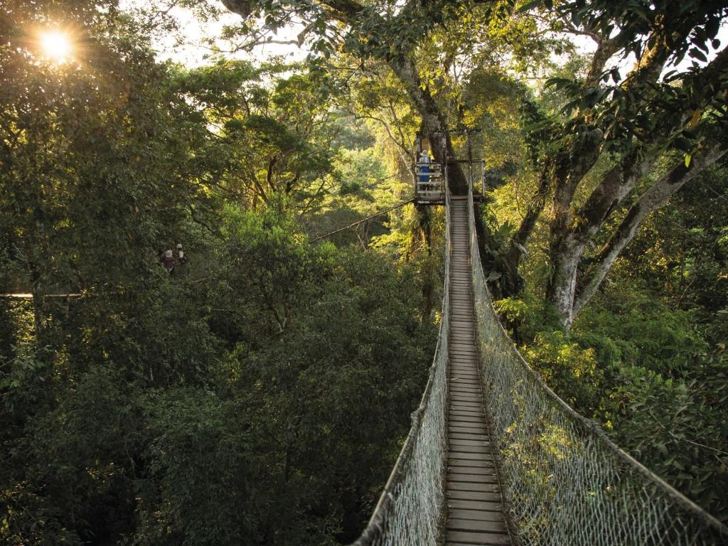 Imagen de viaje LAT.40