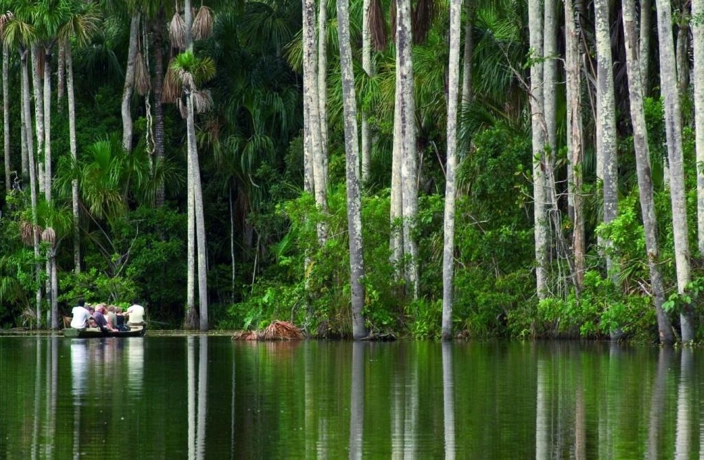 Amazonas