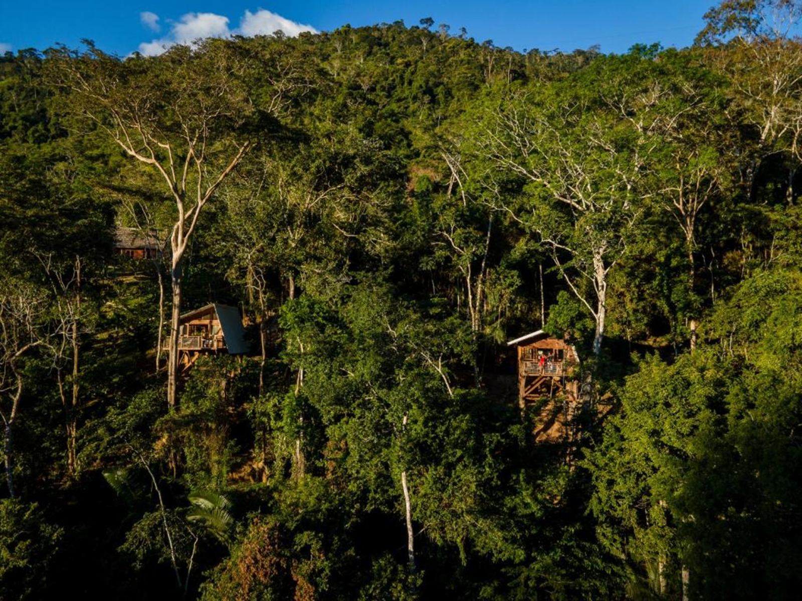  Pumarinri Amazon Lodge en Amazonas Tarapoto