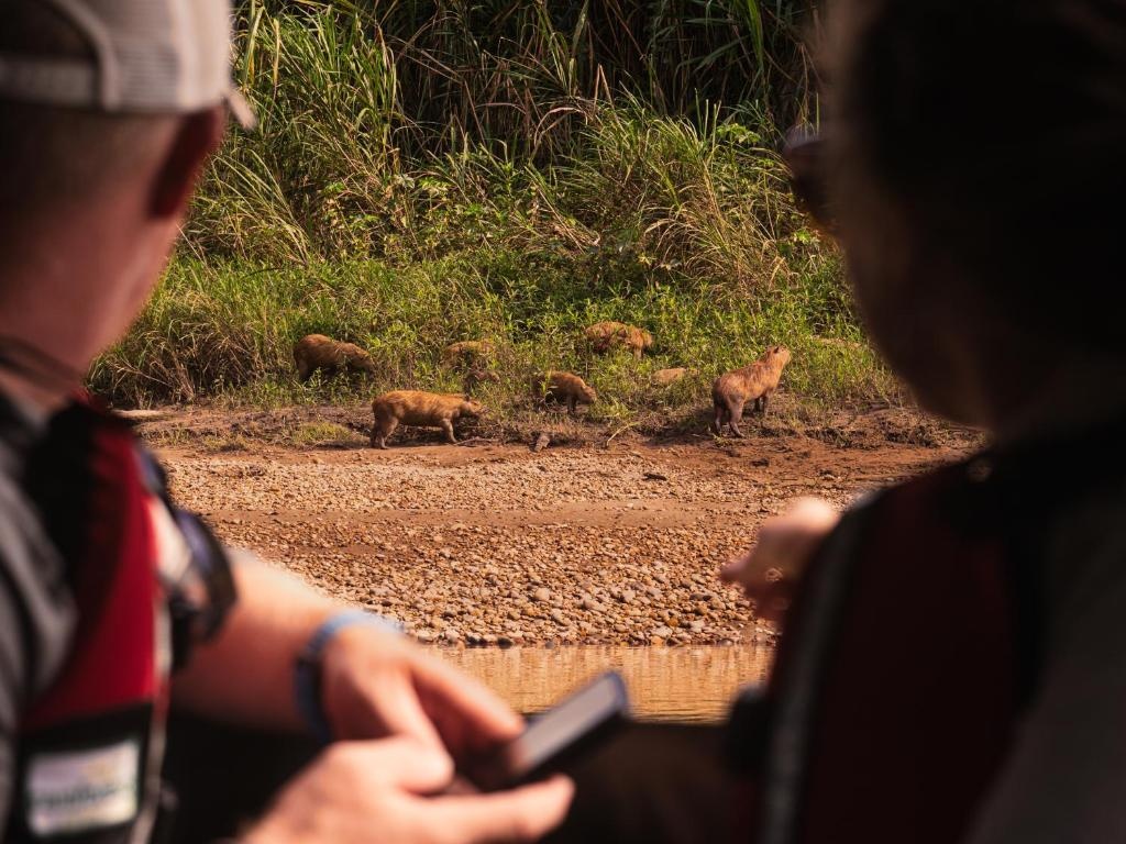 Refugio Amazonas Lodge en Amazonas