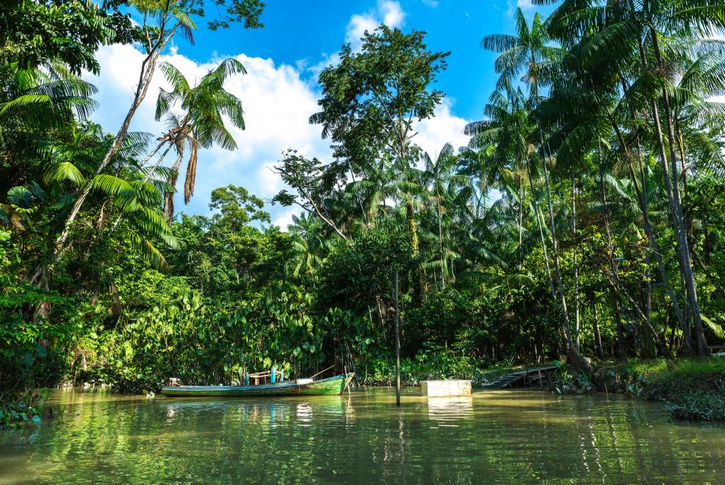Amazonas | LAT.40