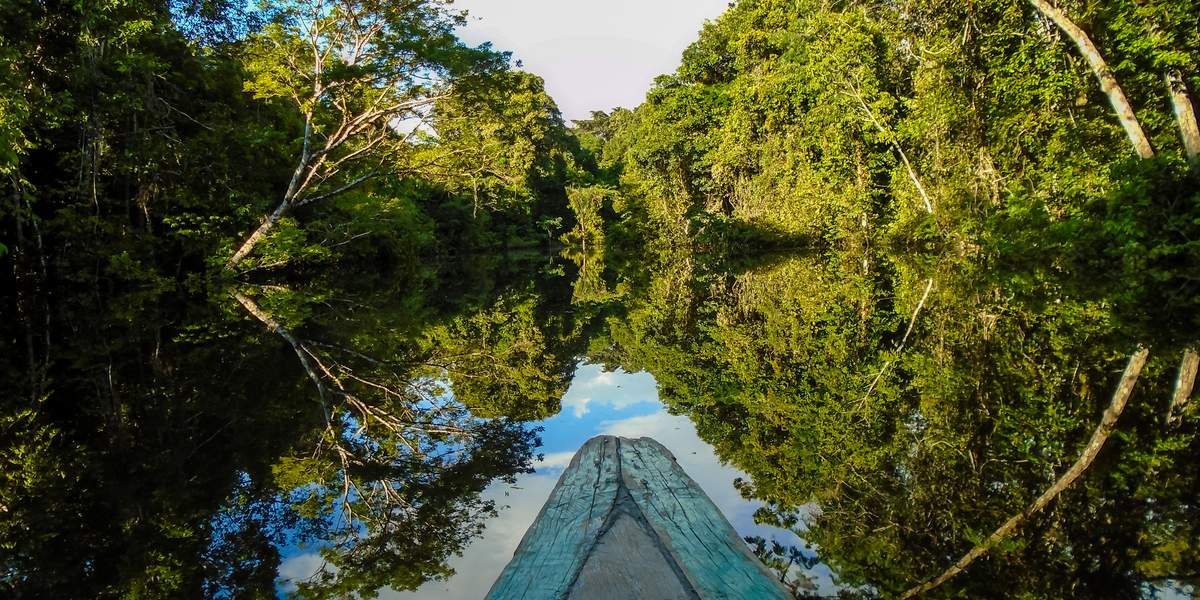 Amazonas | LAT.40