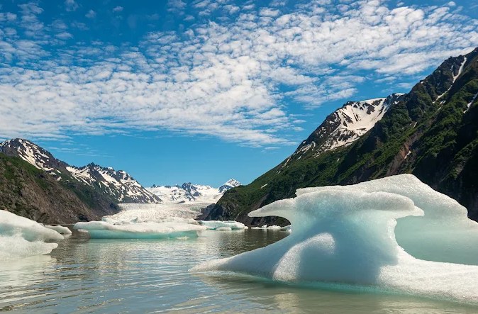 Bear Cove Retreat en Alaska