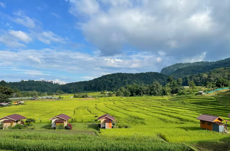 Chiang Mai