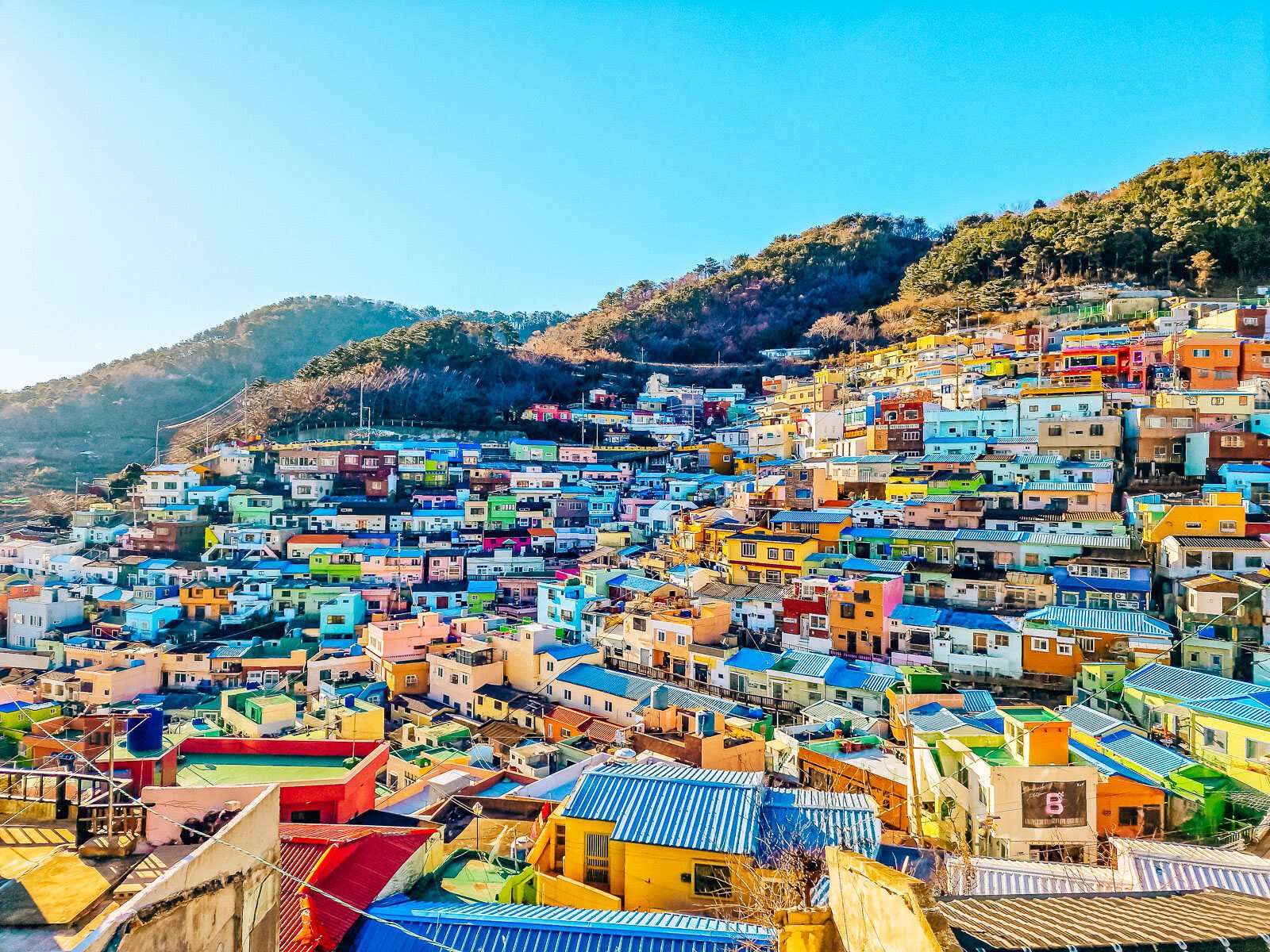 Busan | LAT.40