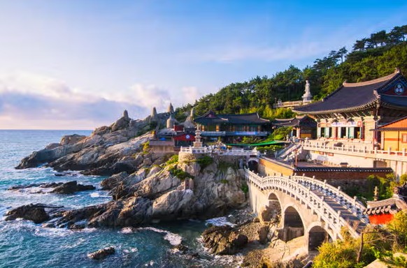 Busan | LAT.40
