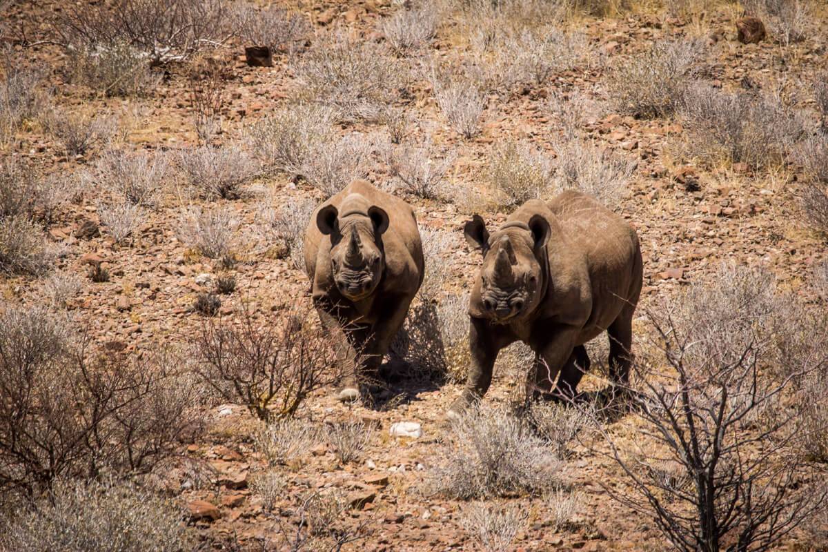 Onduli Ridge en Damaraland