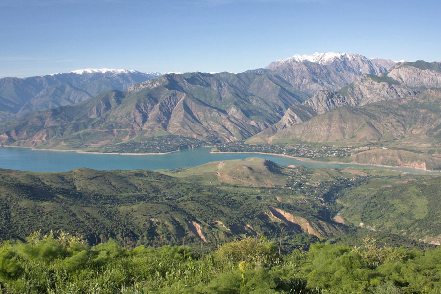 Samarcanda