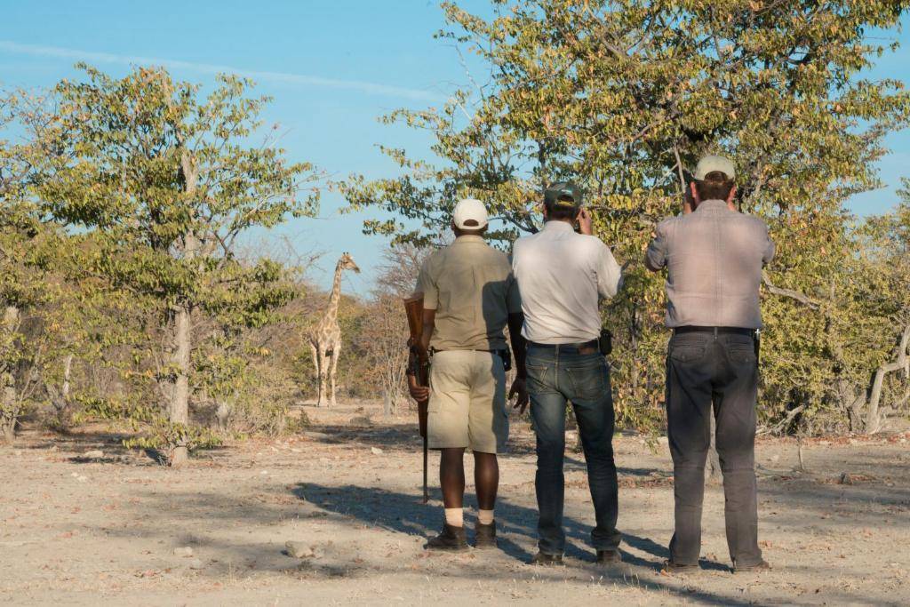 Ongava Lodge en Etosha Parque Nacional 