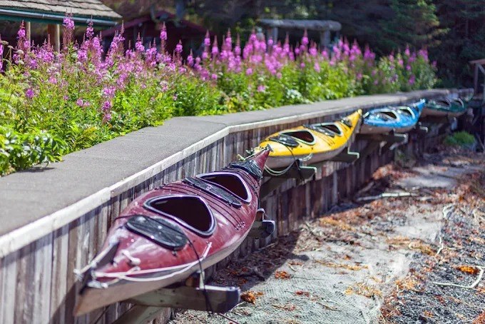 Kachemak Bay Wilderness Lodge en Alaska