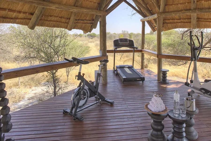 Feline Fields Lodge en Kalahari