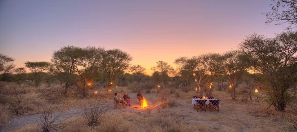 Feline Fields Lodge en Kalahari