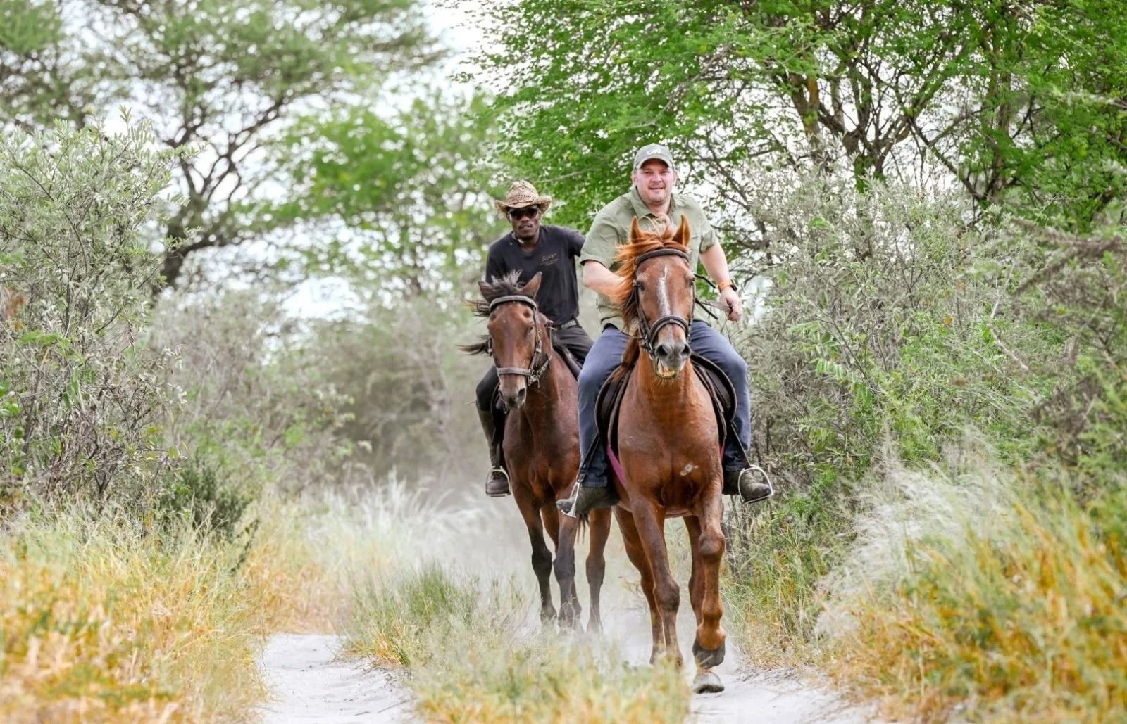 Feline Fields Lodge en Kalahari