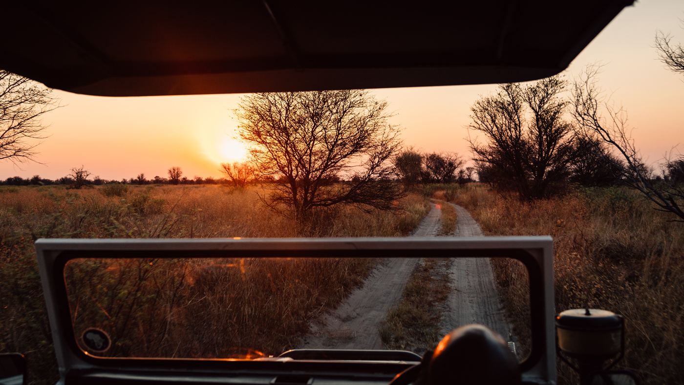 Feline Fields Lodge en Kalahari