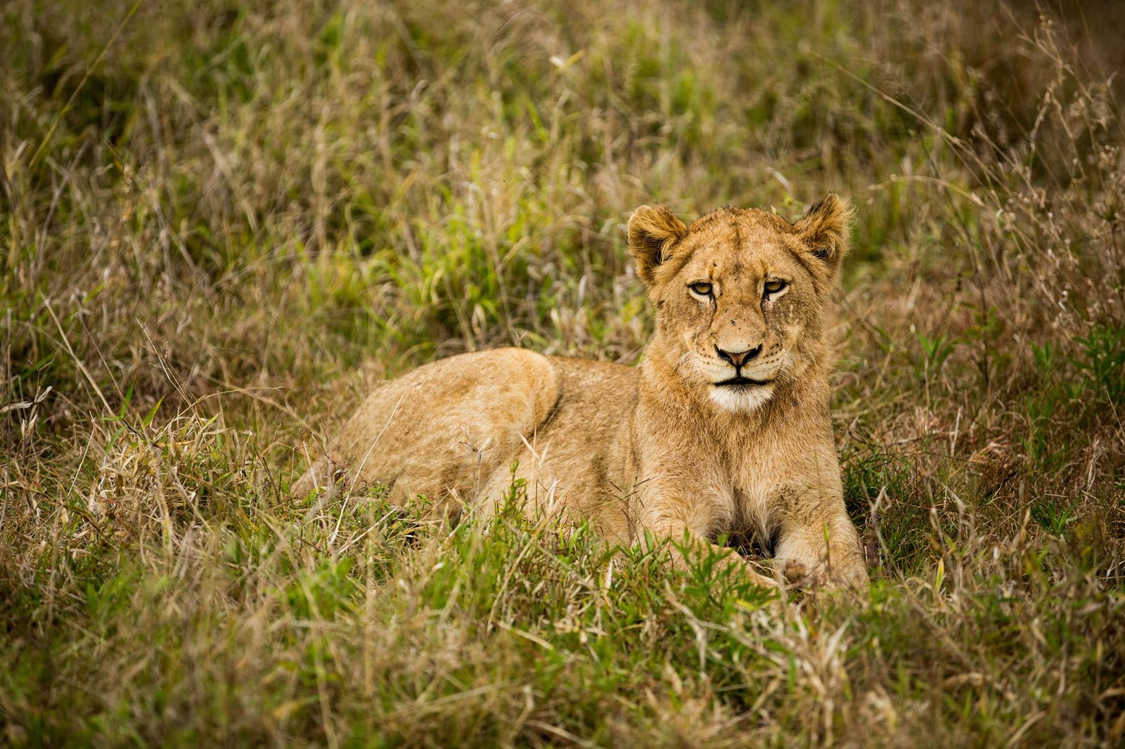 Kruger National Park