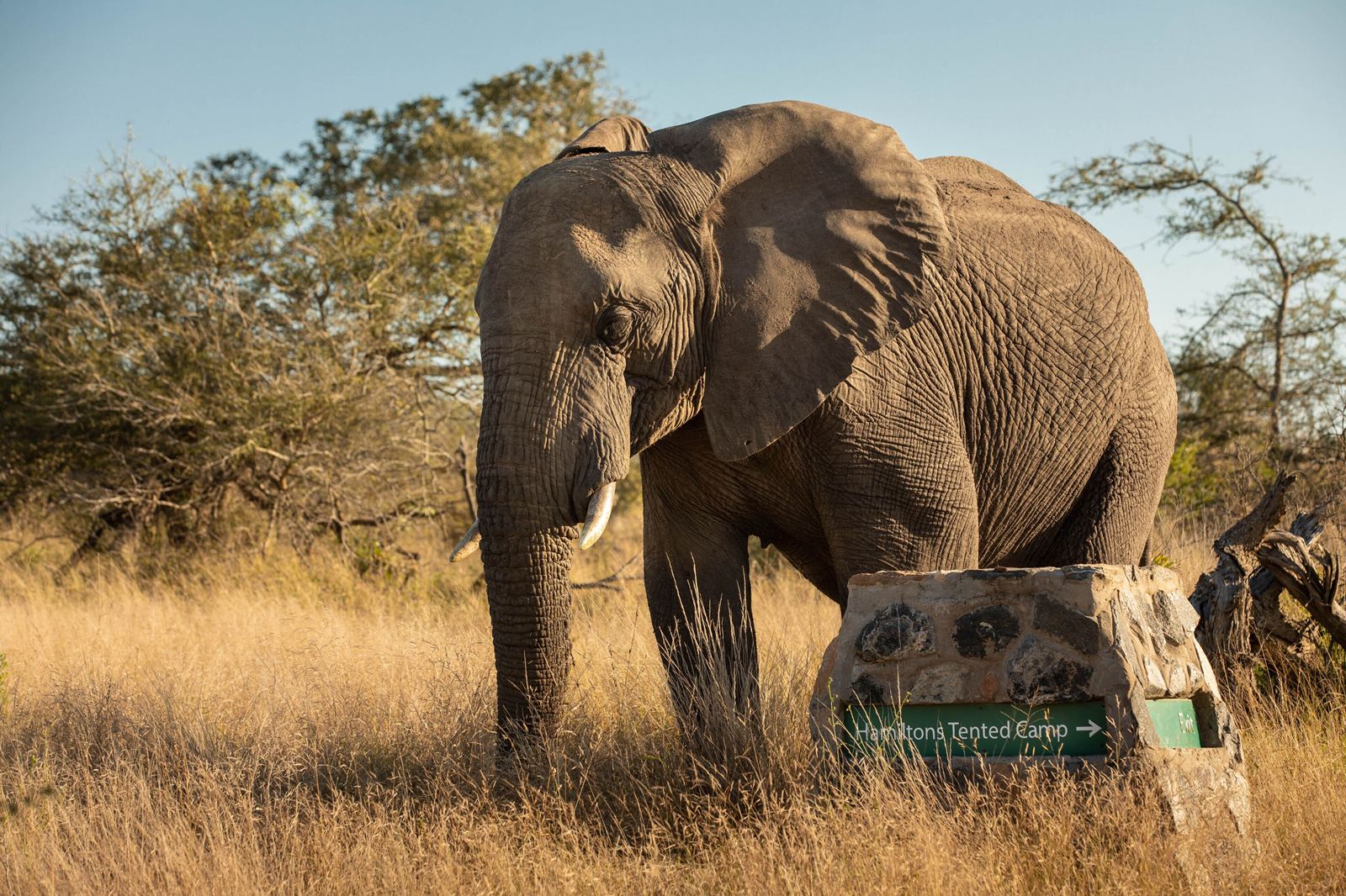 Kruger National Park