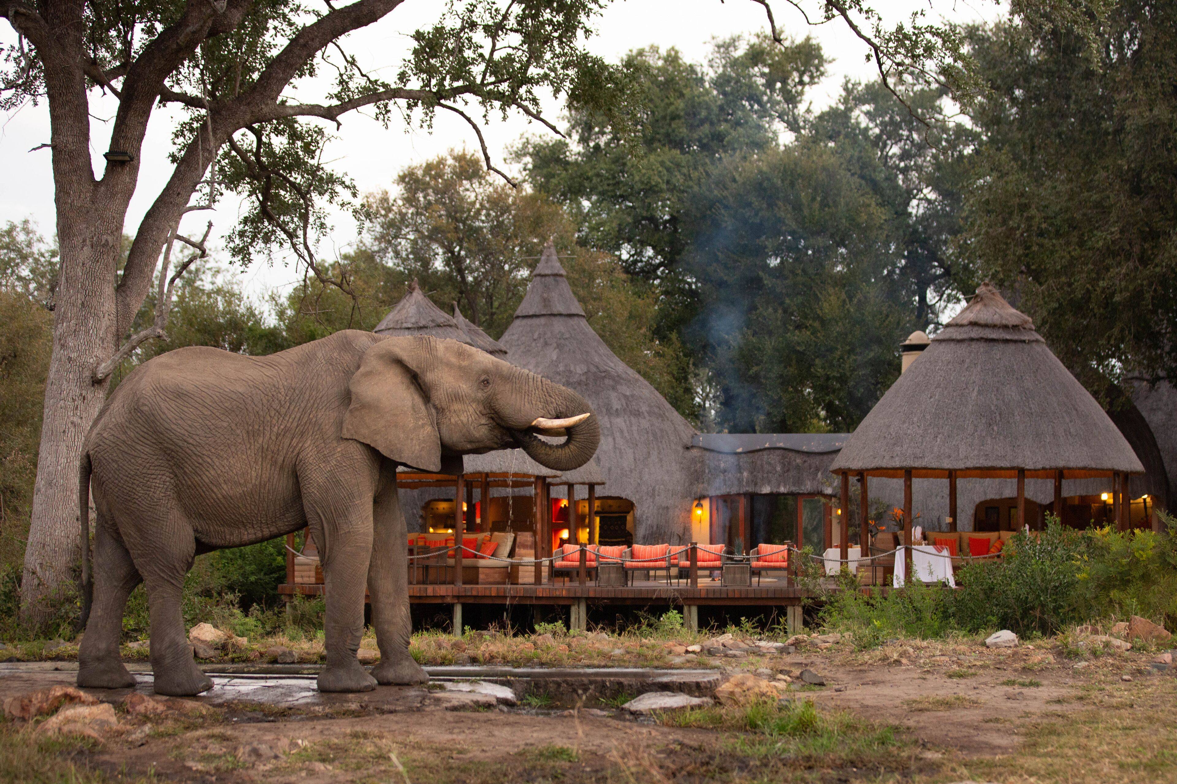 Hoyo Hoyo Safari Lodge en Kruger National Park