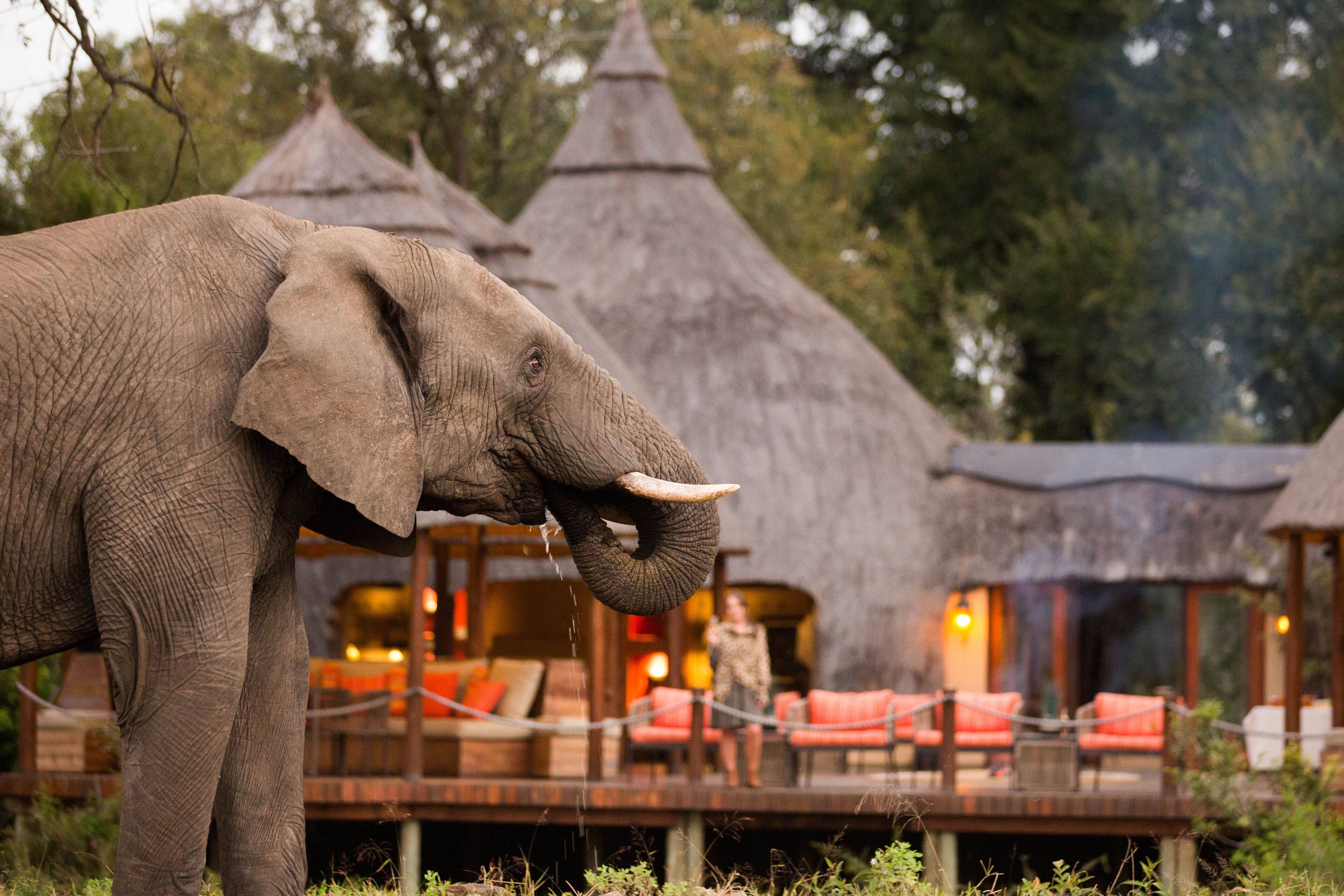 Hoyo Hoyo Safari Lodge en Kruger National Park
