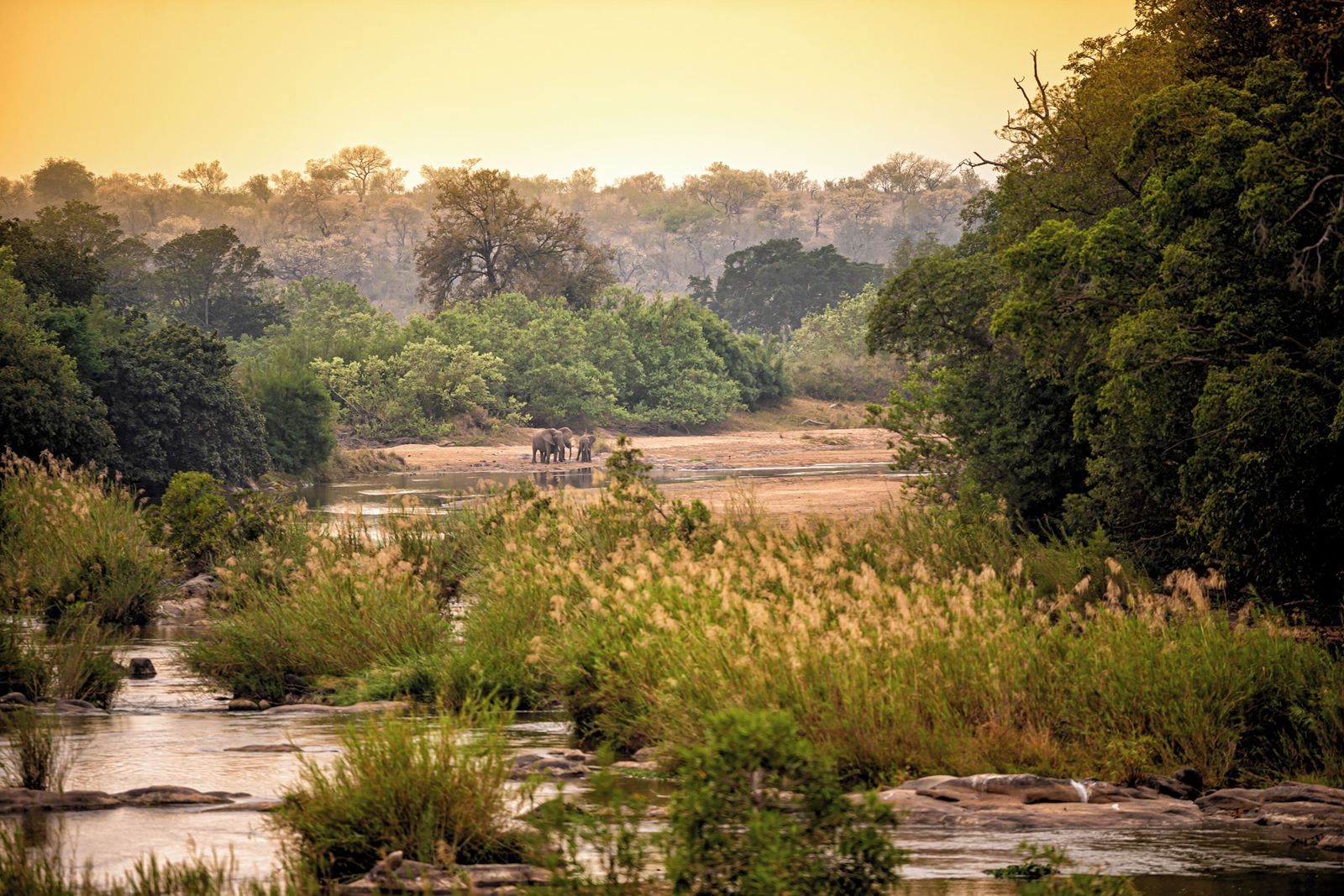 Rhino Walking Safaris en Kruger National Park