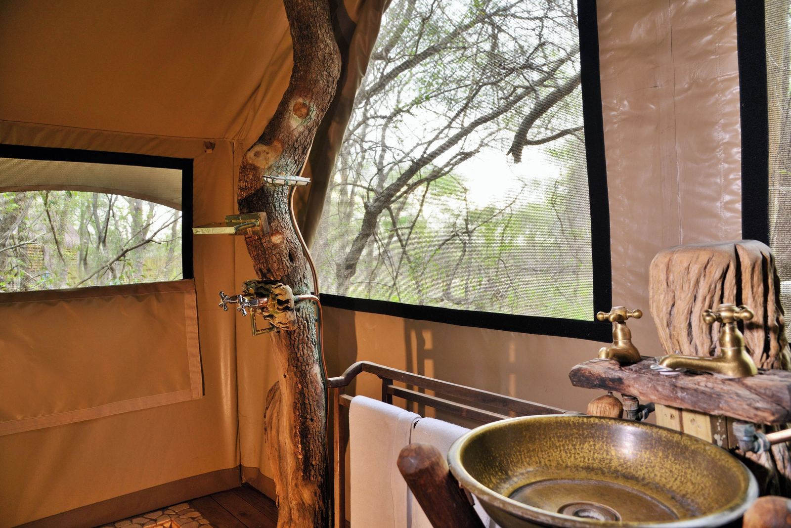 Rhino Walking Safaris en Kruger National Park