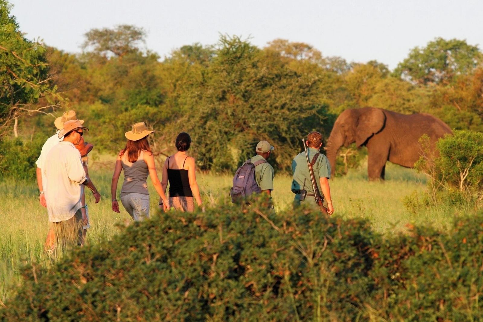 Rhino Walking Safaris en Kruger National Park