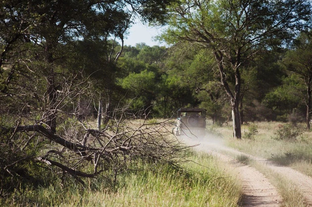 Rhino Walking Safaris en Kruger National Park