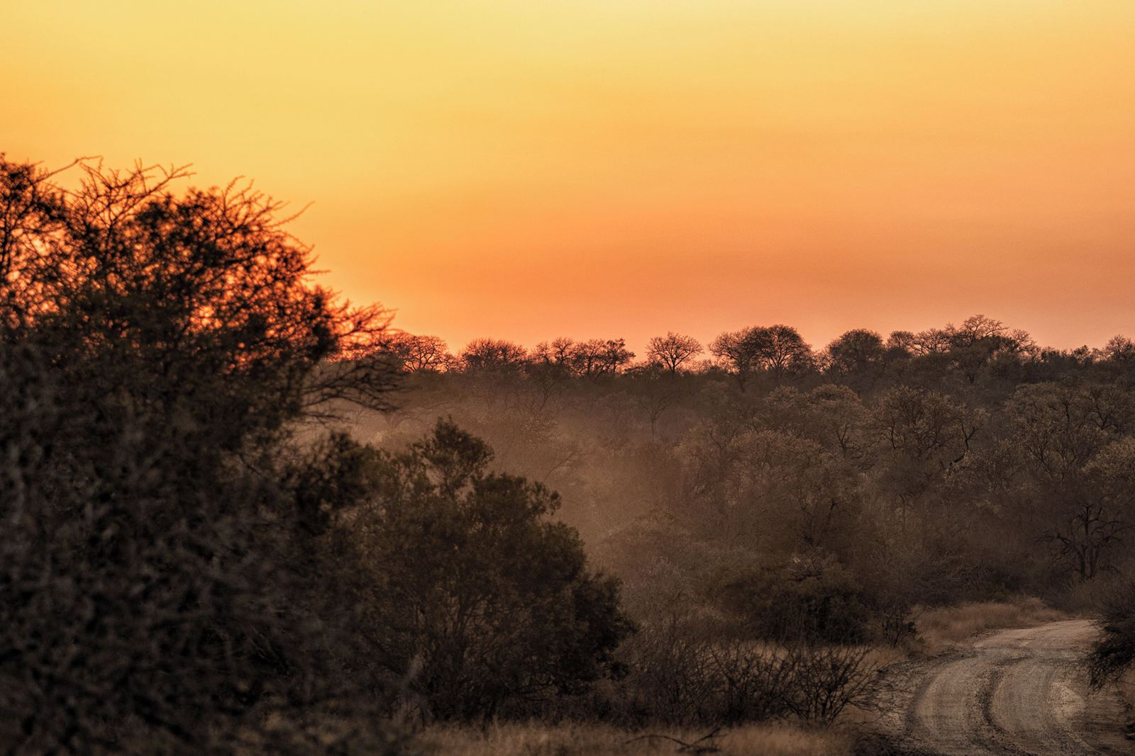 Rhino Walking Safaris en Kruger National Park