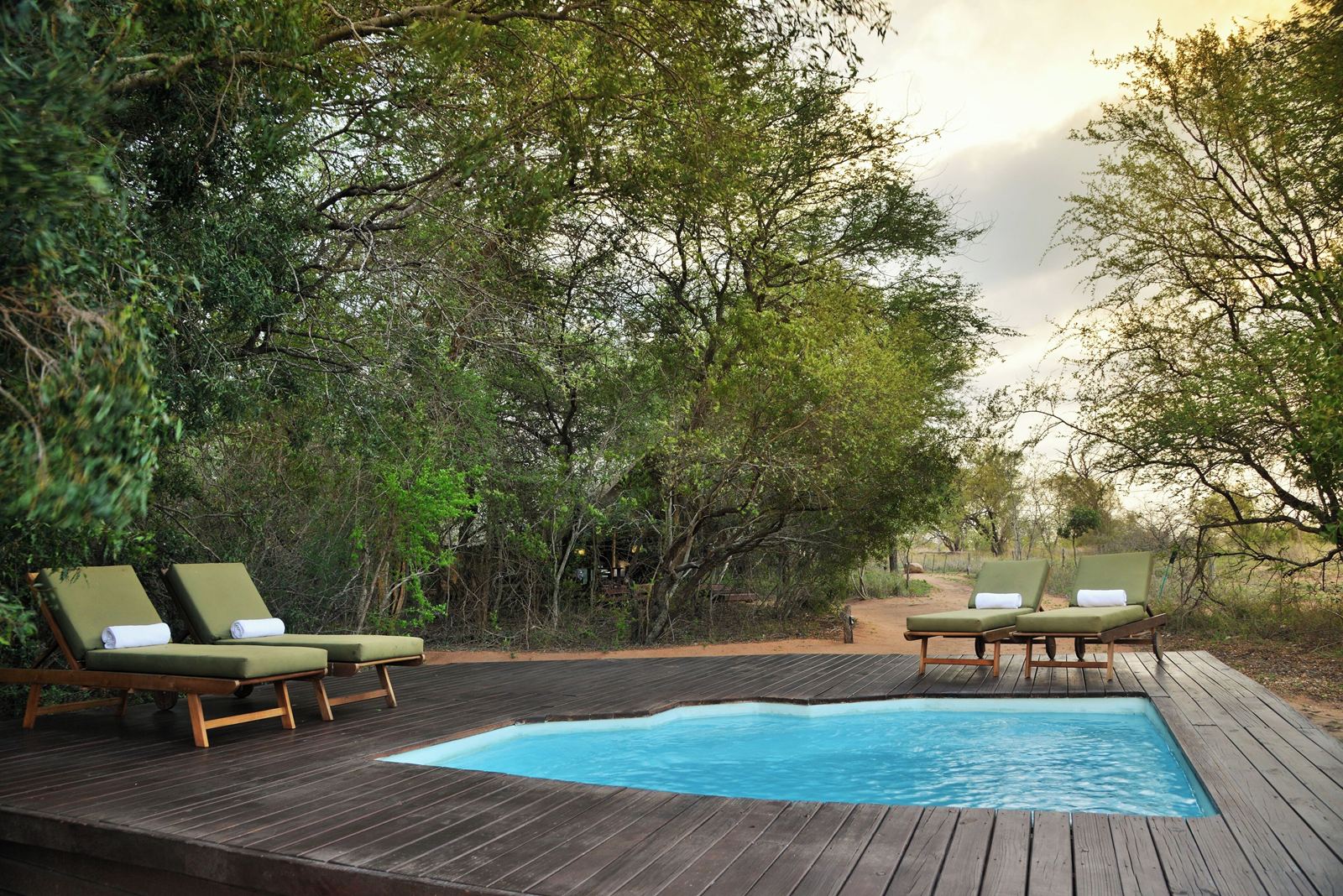 Rhino Walking Safaris en Kruger National Park