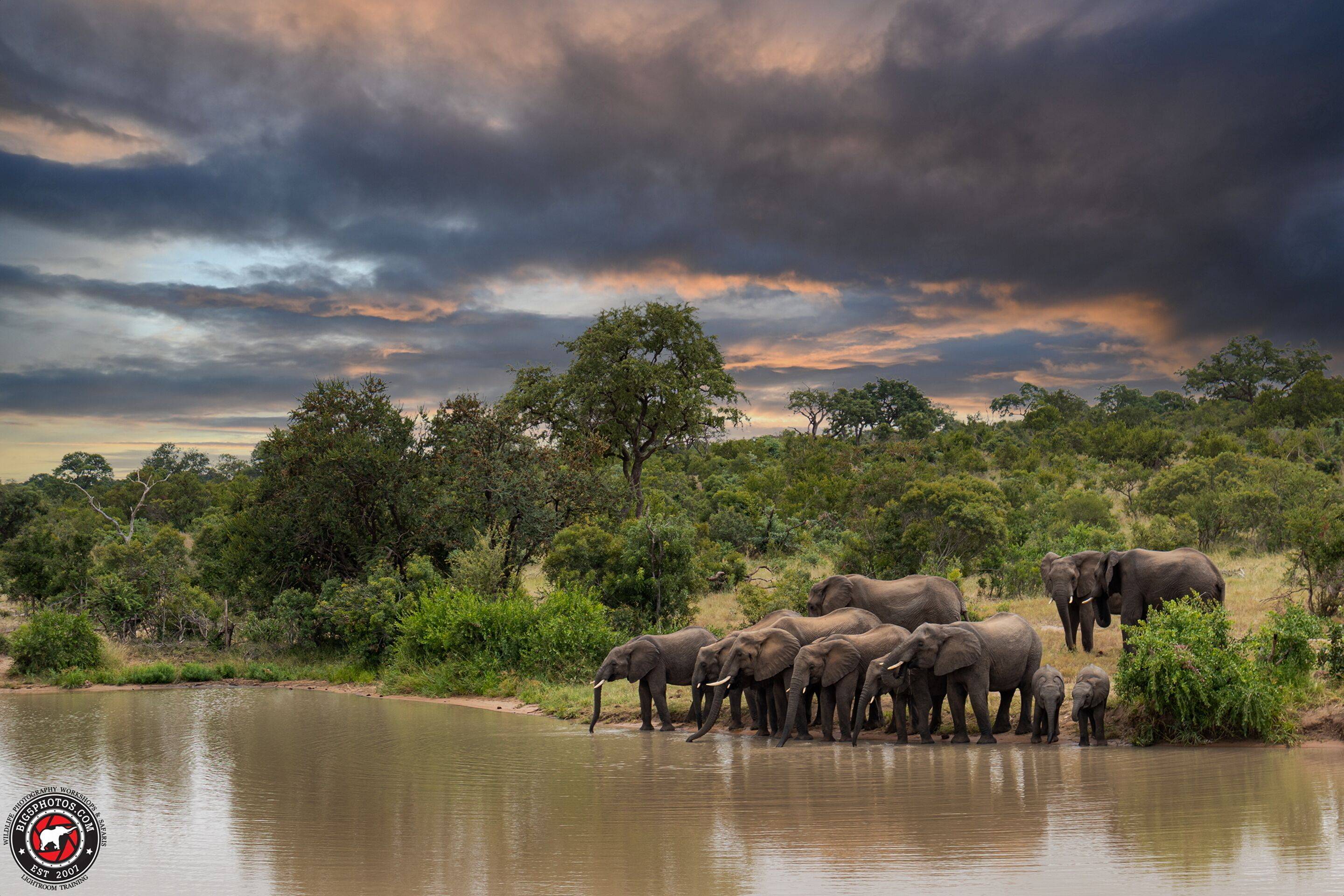 Shumbalala Game Lodge en Kruger National Park