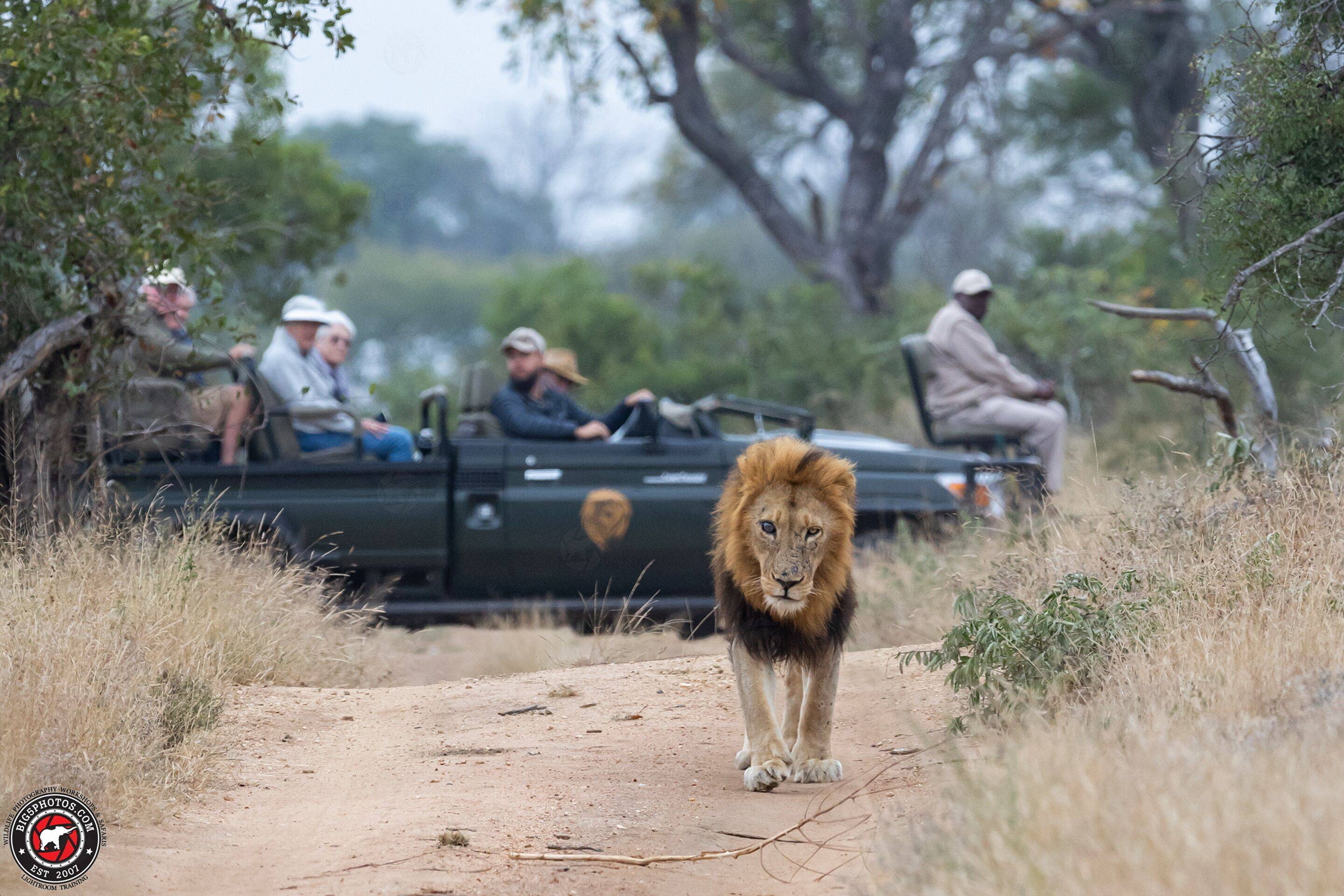 Luna de miel Ciudad del Cabo Sabi Sands y Maldivas 3N diseñado por LAT.40