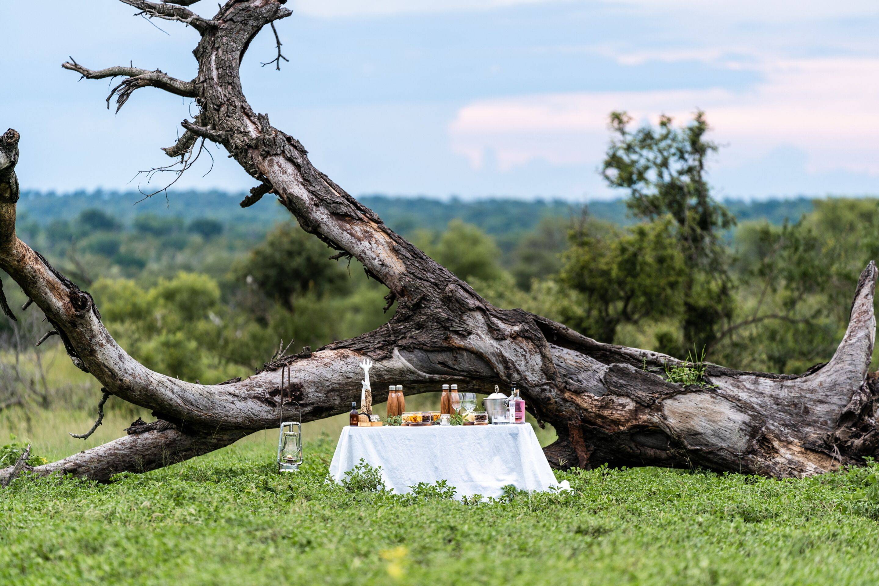Shumbalala Game Lodge en Kruger National Park