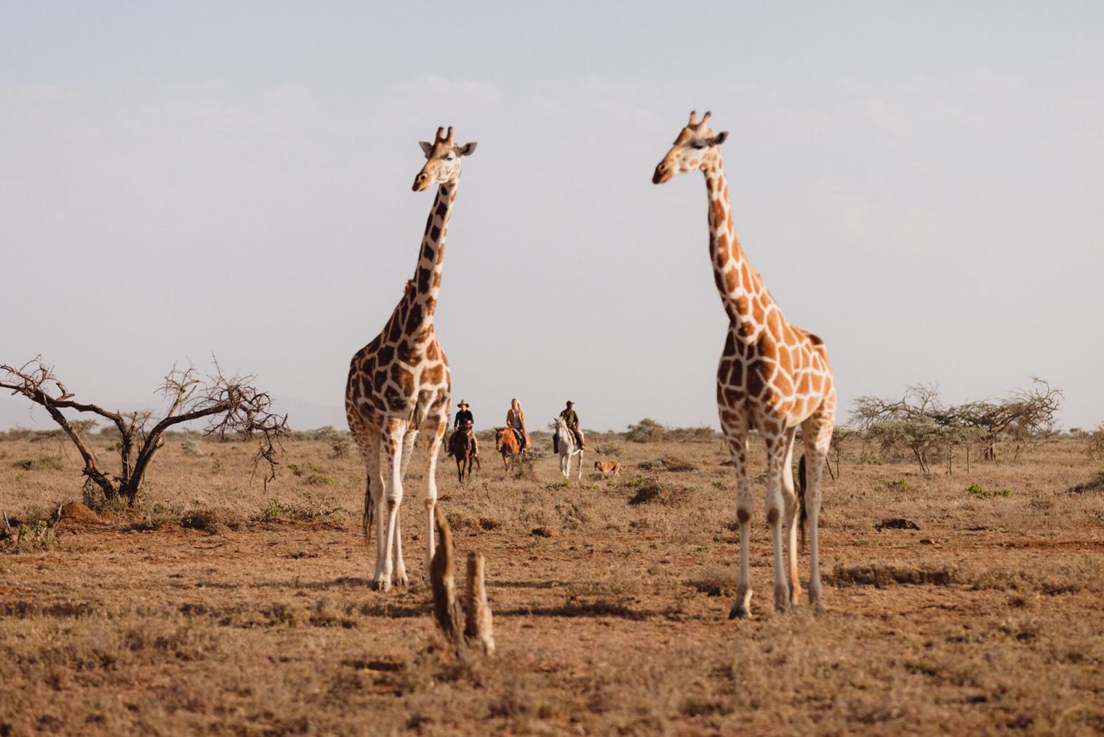 Laikipia