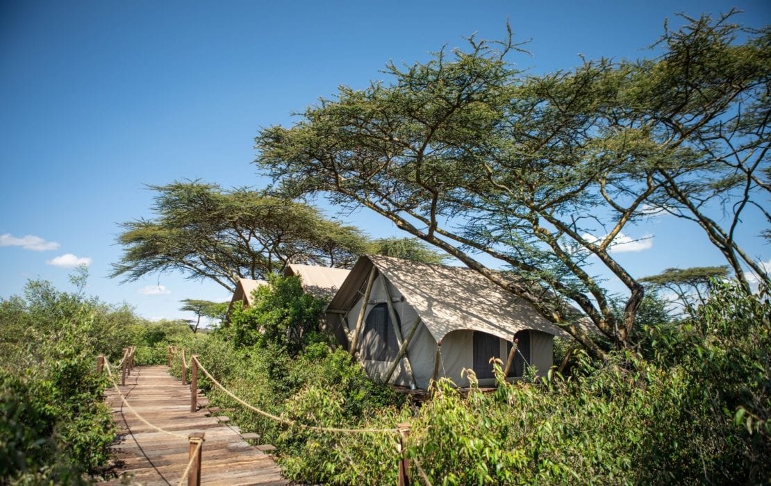 Mara Nyika Great Plains en Masai Mara