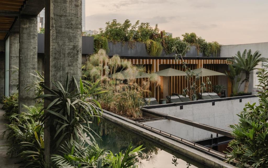 Inolvidable viaje a Mexico diseñado por LAT.40