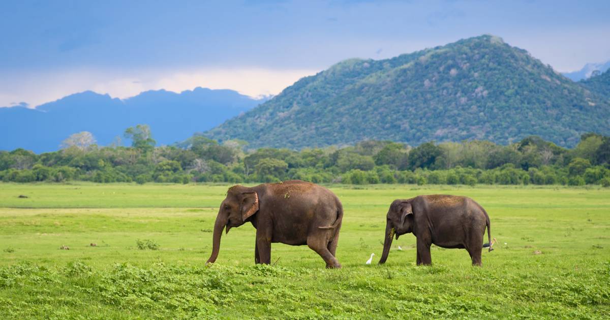 Sigiriya