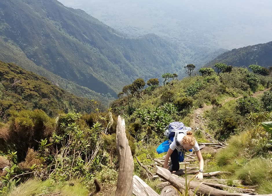 Imagen de viaje LAT.40