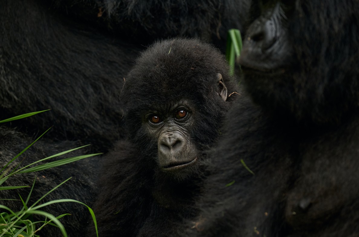 Imagen de viaje LAT.40