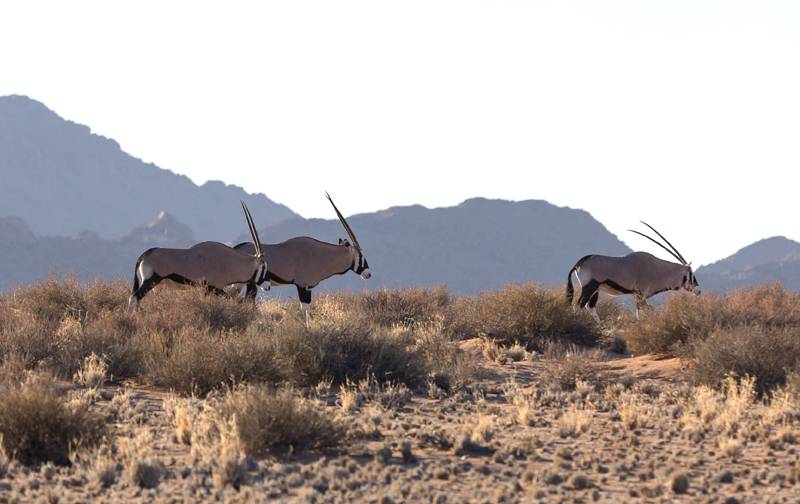 Sossusvlei Lodge en Reserva Natural de NamibRand