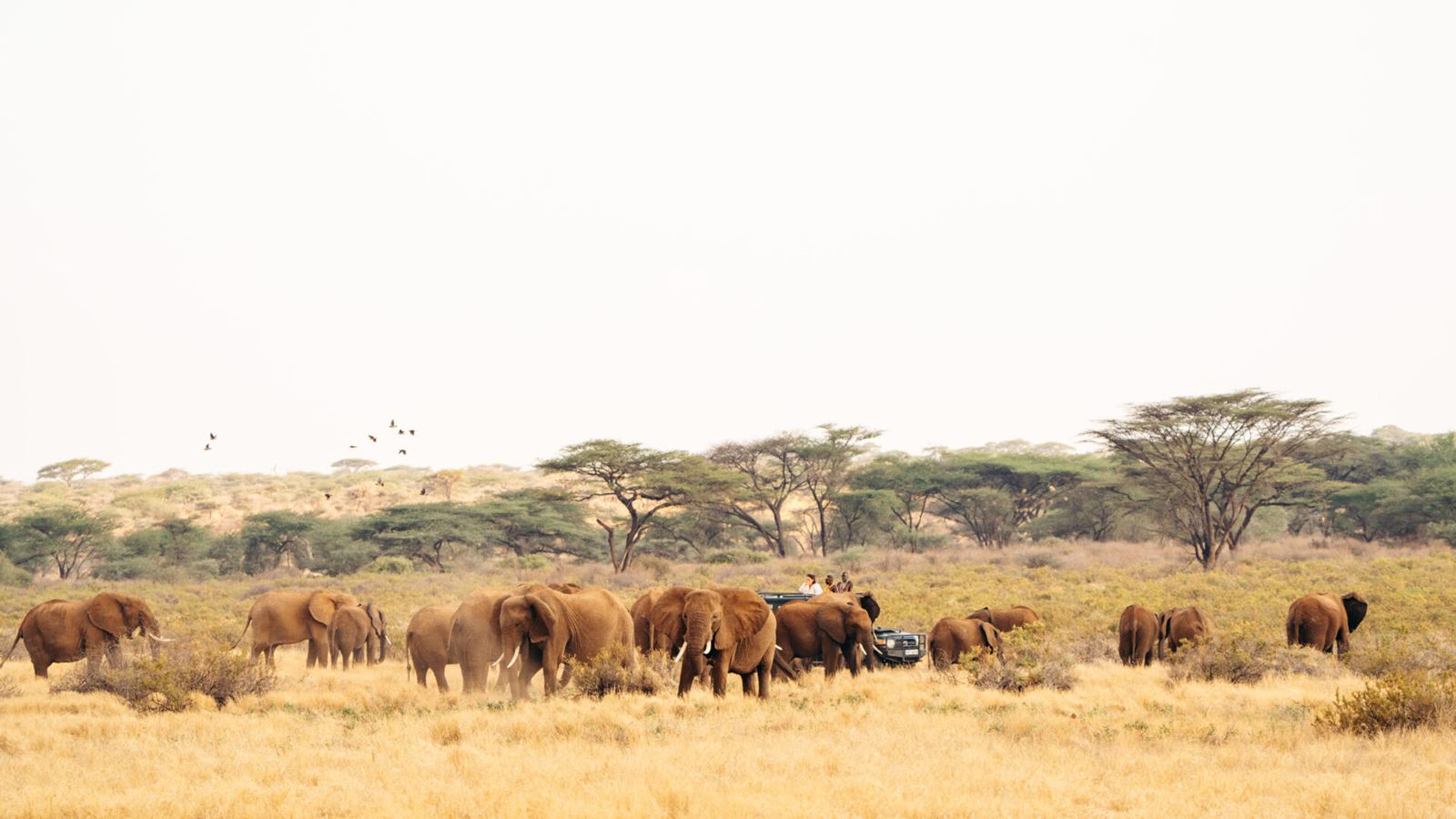 Reteti House en Namunyak Wildlife Conservancy