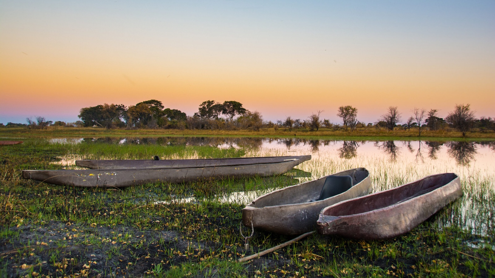 Nokanyana Safari Lodge en Moremi