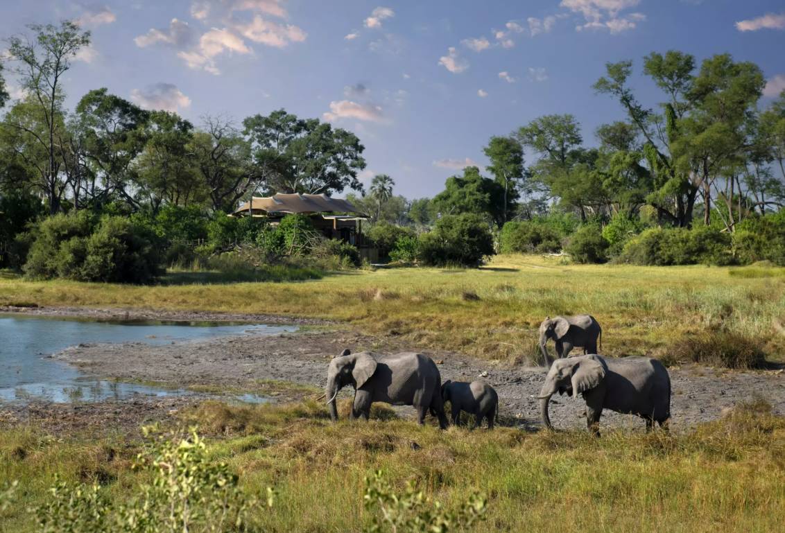 Atzaró Okavango Camp en su destino