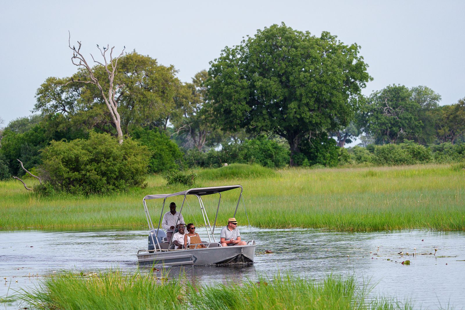 Karangoma en Delta Okavango