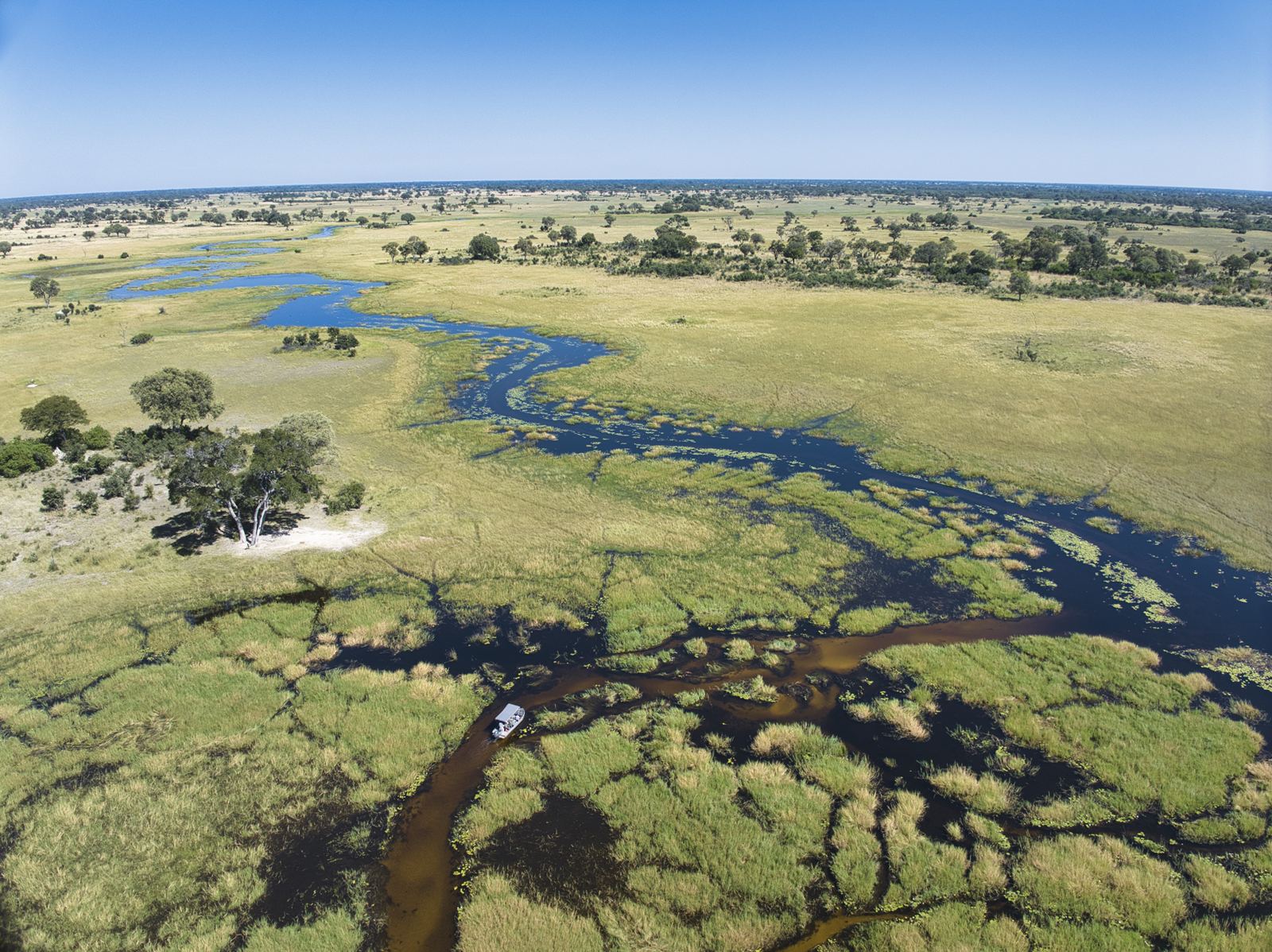Karangoma en Delta Okavango