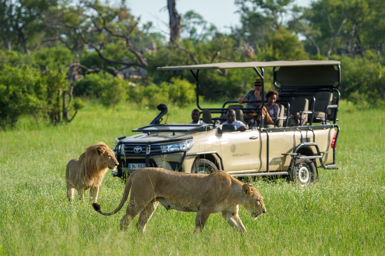 Karangoma en Delta Okavango