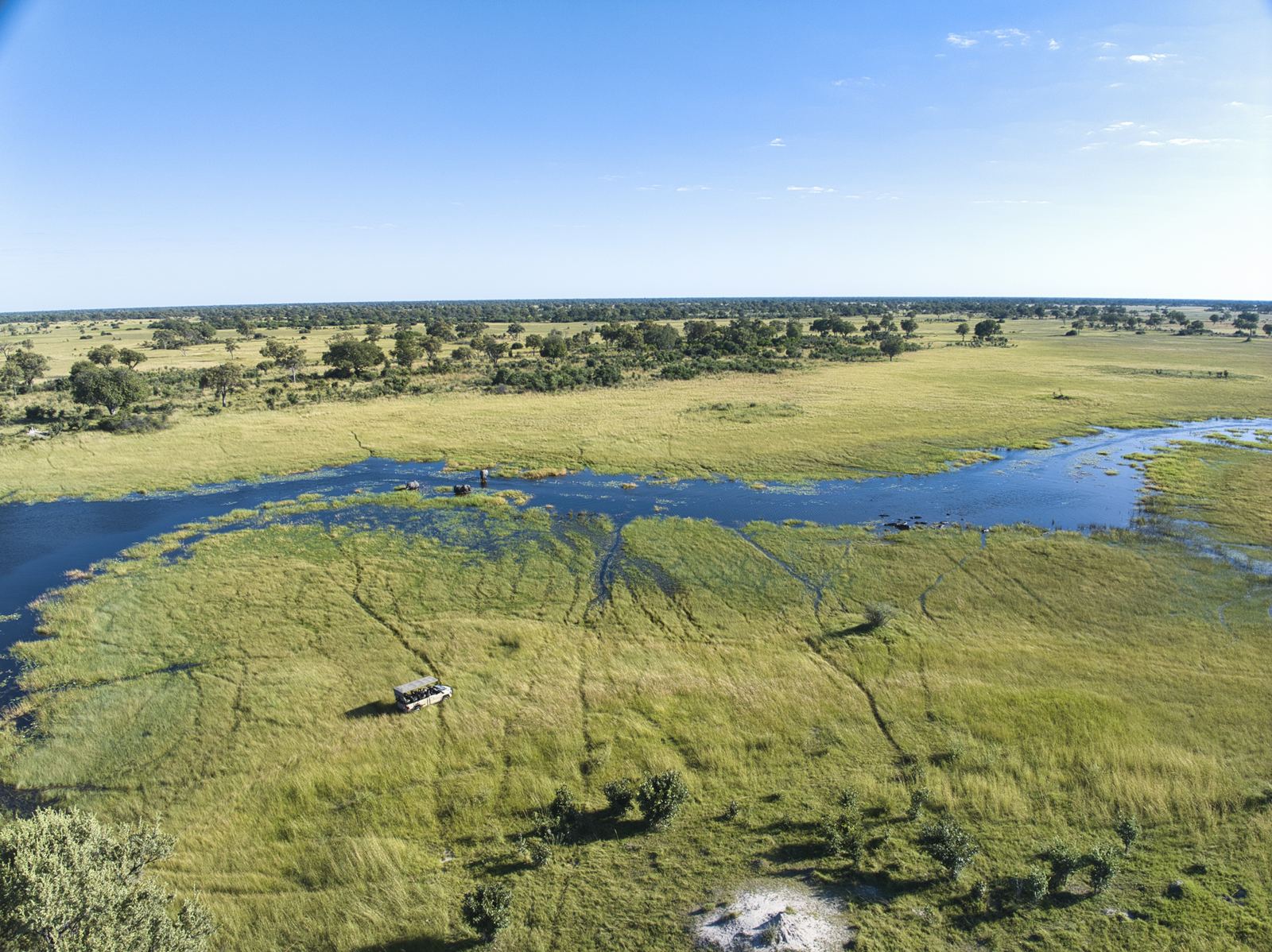 Karangoma en Delta Okavango