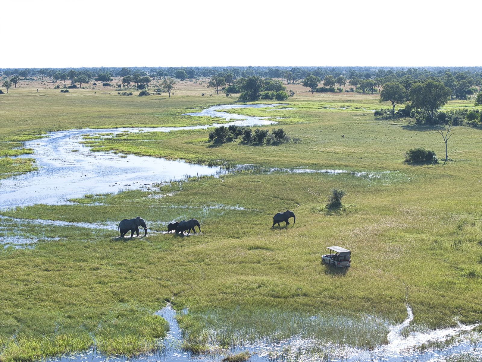 Karangoma en Delta Okavango