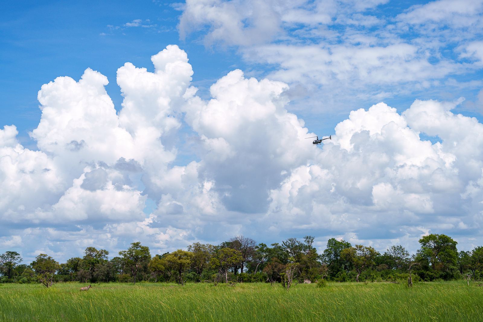 Karangoma en Delta Okavango